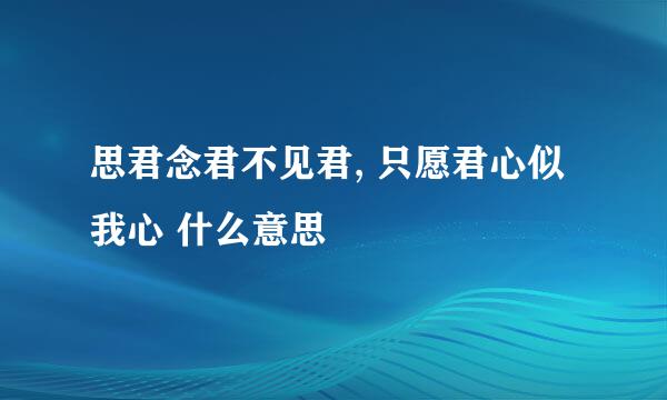 思君念君不见君, 只愿君心似我心 什么意思