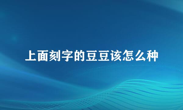 上面刻字的豆豆该怎么种