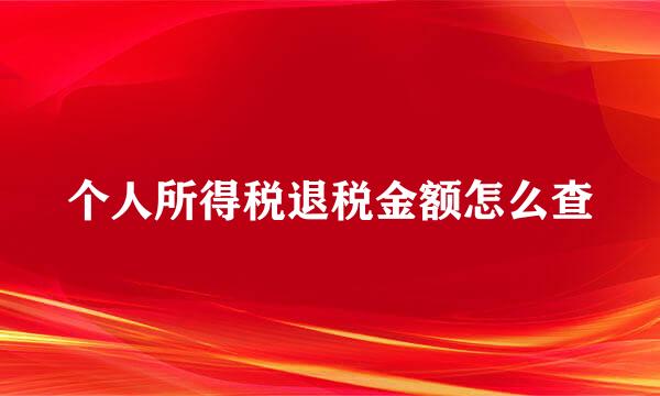 个人所得税退税金额怎么查