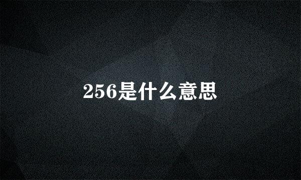 256是什么意思