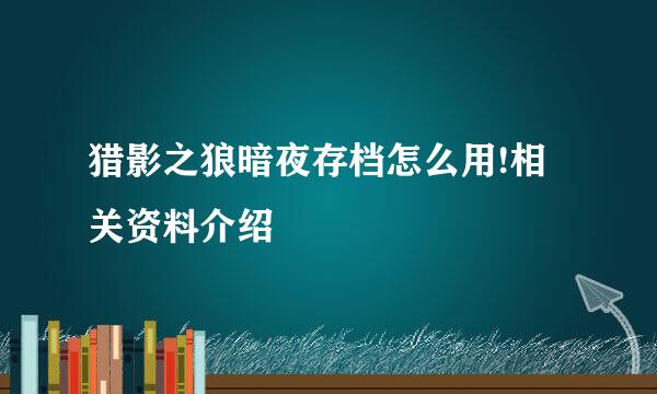 猎影之狼暗夜存档怎么用!相关资料介绍