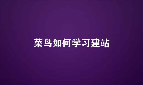 菜鸟如何学习建站