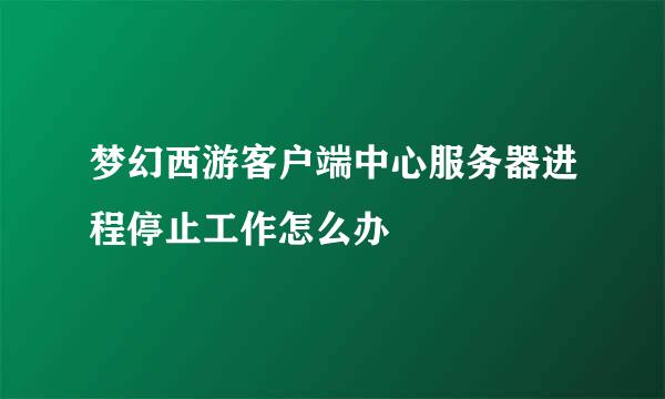 梦幻西游客户端中心服务器进程停止工作怎么办