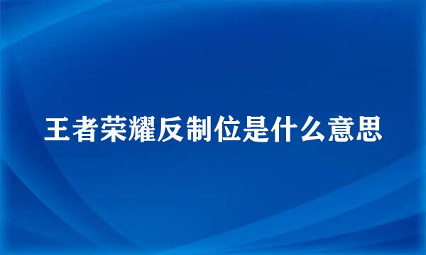 王者荣耀反制位是什么意思