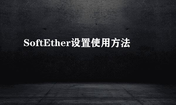 SoftEther设置使用方法