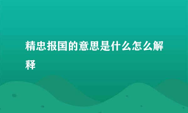 精忠报国的意思是什么怎么解释