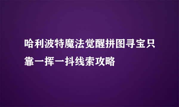 哈利波特魔法觉醒拼图寻宝只靠一挥一抖线索攻略