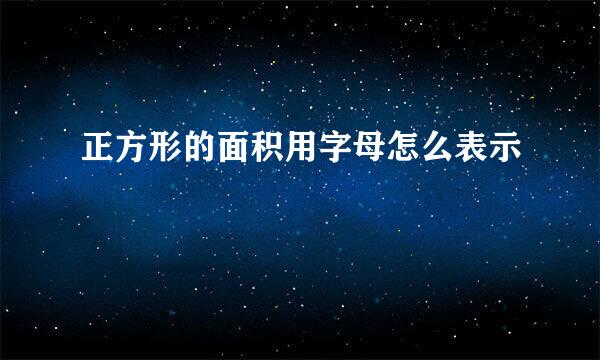 正方形的面积用字母怎么表示