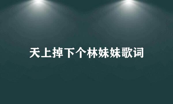 天上掉下个林妹妹歌词