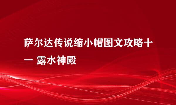 萨尔达传说缩小帽图文攻略十一 露水神殿