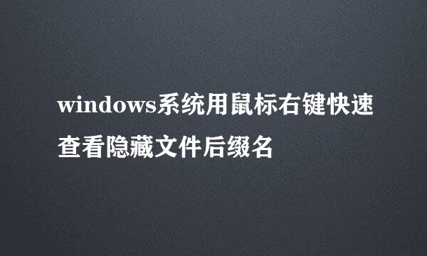 windows系统用鼠标右键快速查看隐藏文件后缀名