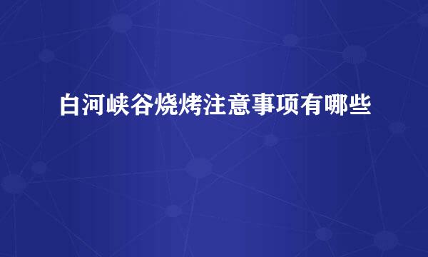 白河峡谷烧烤注意事项有哪些