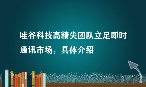 哇谷科技高精尖团队立足即时通讯市场，具体介绍