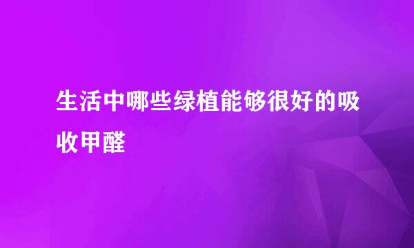 生活中哪些绿植能够很好的吸收甲醛