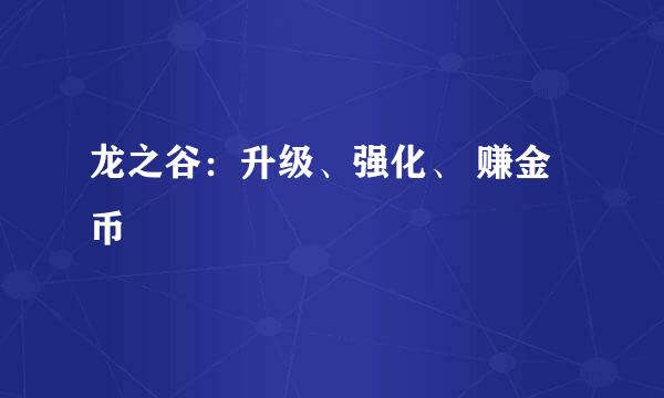 龙之谷：升级、强化、 赚金币