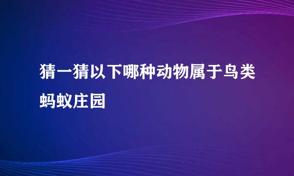 猜一猜以下哪种动物属于鸟类蚂蚁庄园