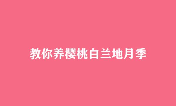 教你养樱桃白兰地月季