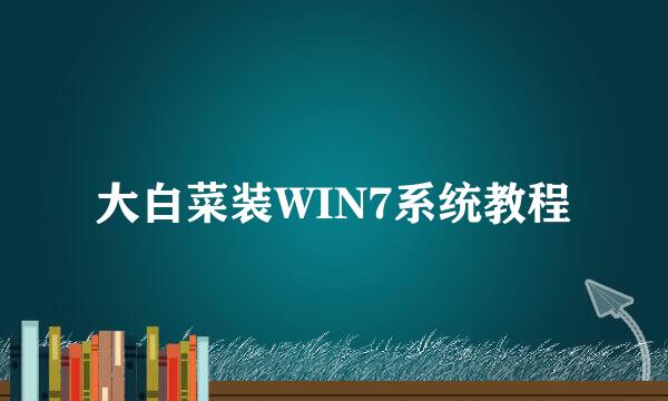 大白菜装WIN7系统教程