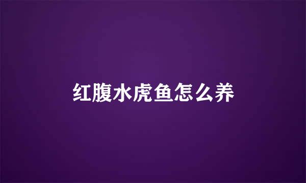 红腹水虎鱼怎么养