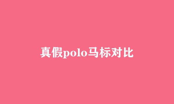 真假polo马标对比