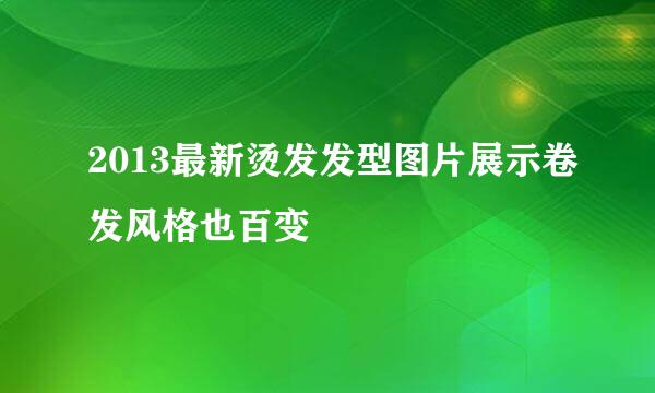 2013最新烫发发型图片展示卷发风格也百变