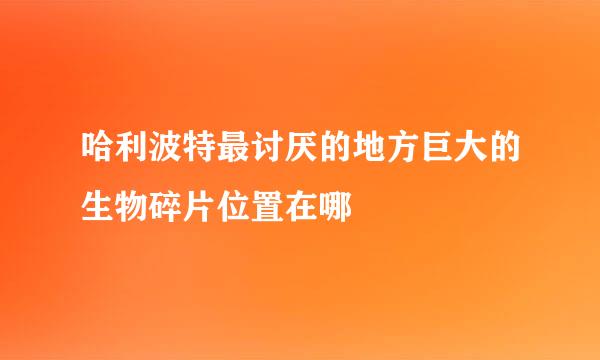 哈利波特最讨厌的地方巨大的生物碎片位置在哪