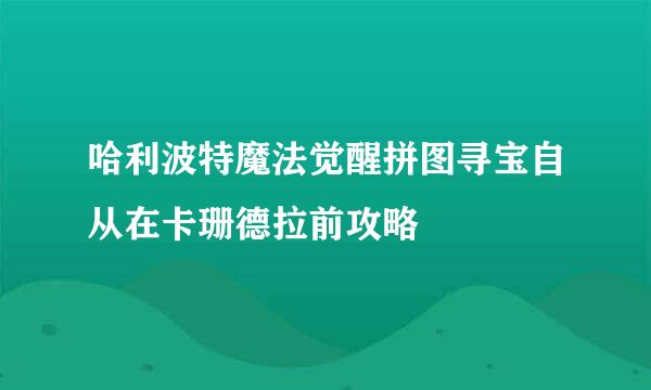 哈利波特魔法觉醒拼图寻宝自从在卡珊德拉前攻略