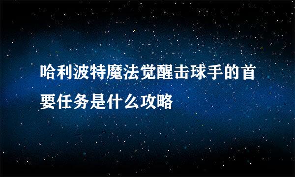 哈利波特魔法觉醒击球手的首要任务是什么攻略