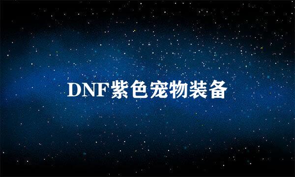 DNF紫色宠物装备