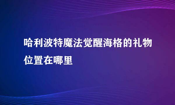 哈利波特魔法觉醒海格的礼物位置在哪里