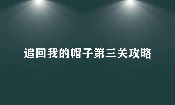 追回我的帽子第三关攻略