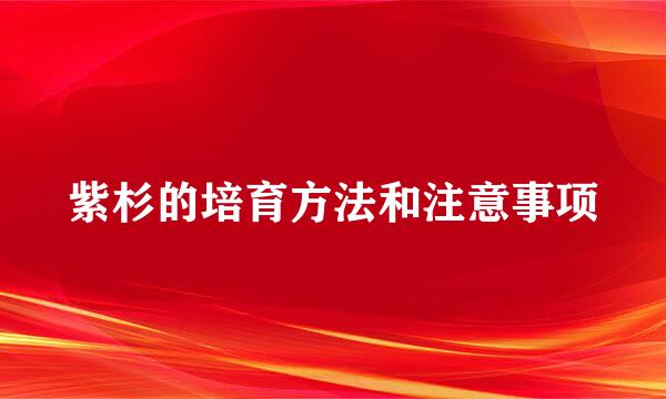 紫杉的培育方法和注意事项