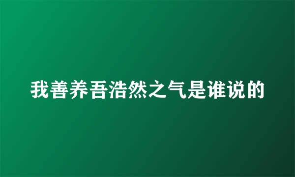 我善养吾浩然之气是谁说的