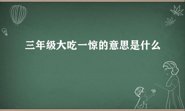 三年级大吃一惊的意思是什么