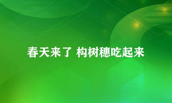 春天来了 构树穗吃起来