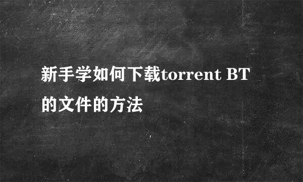 新手学如何下载torrent BT的文件的方法