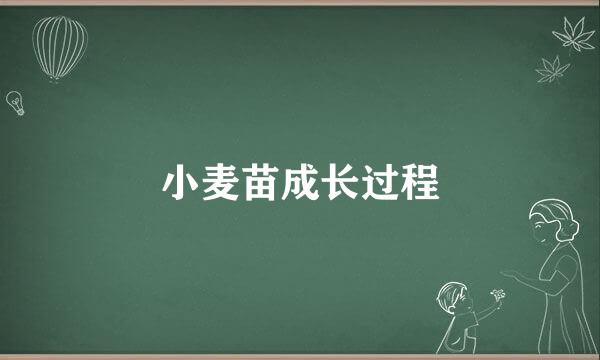 小麦苗成长过程