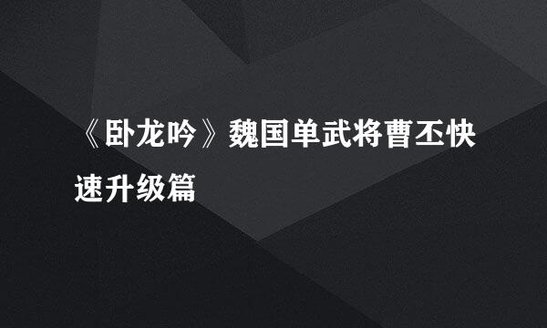 《卧龙吟》魏国单武将曹丕快速升级篇