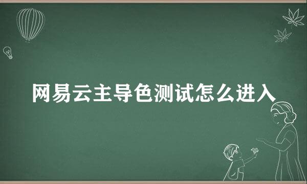 网易云主导色测试怎么进入