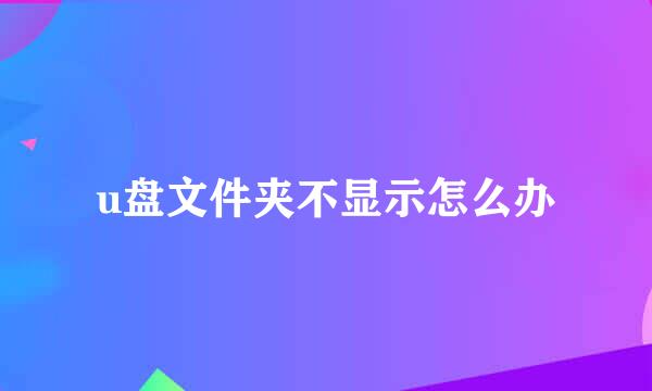 u盘文件夹不显示怎么办