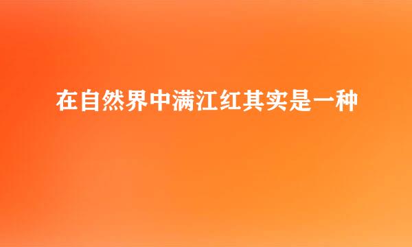 在自然界中满江红其实是一种