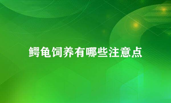 鳄龟饲养有哪些注意点