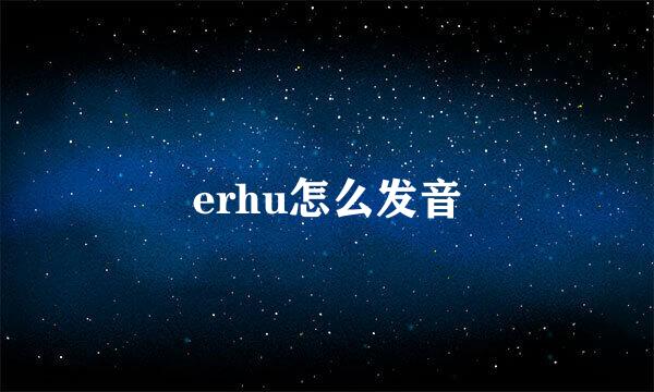 erhu怎么发音