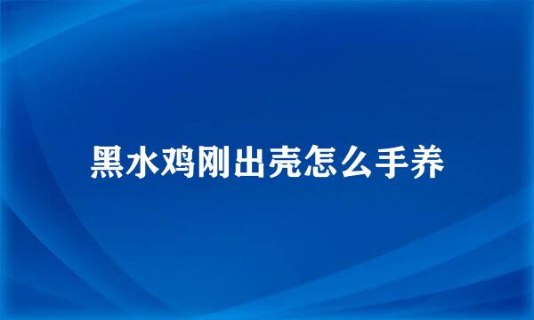 黑水鸡刚出壳怎么手养