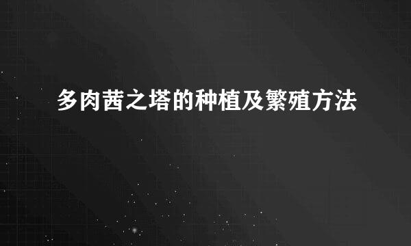 多肉茜之塔的种植及繁殖方法