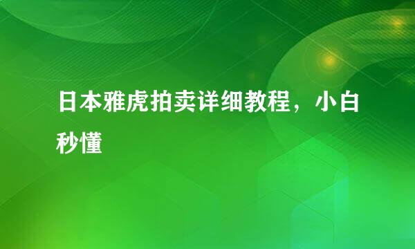 日本雅虎拍卖详细教程，小白秒懂