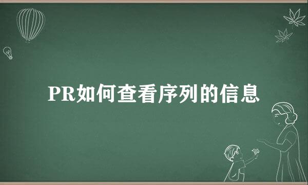 PR如何查看序列的信息