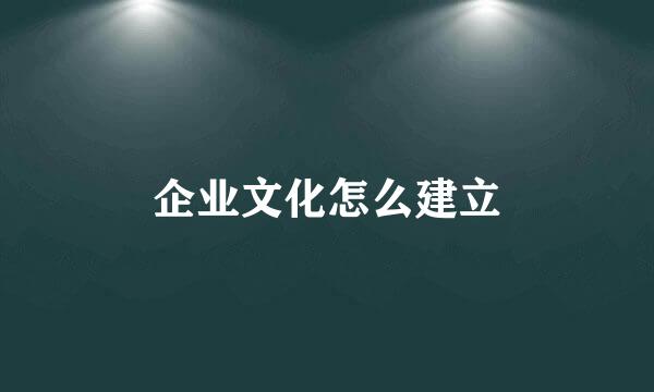 企业文化怎么建立