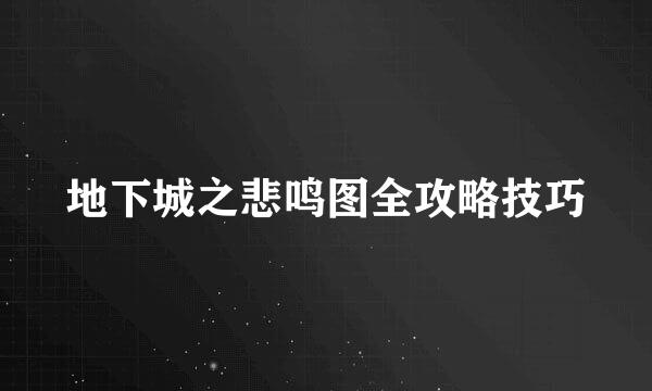 地下城之悲鸣图全攻略技巧