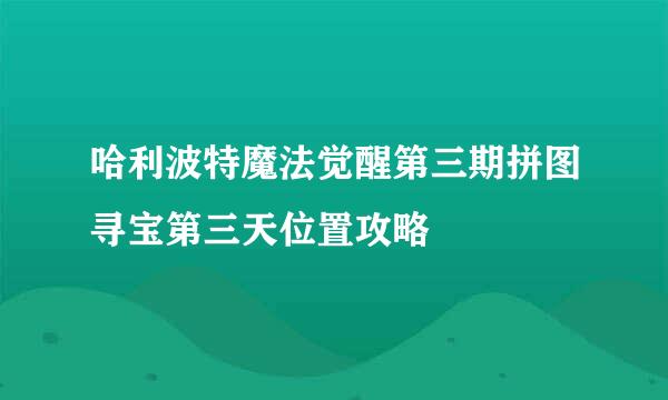 哈利波特魔法觉醒第三期拼图寻宝第三天位置攻略